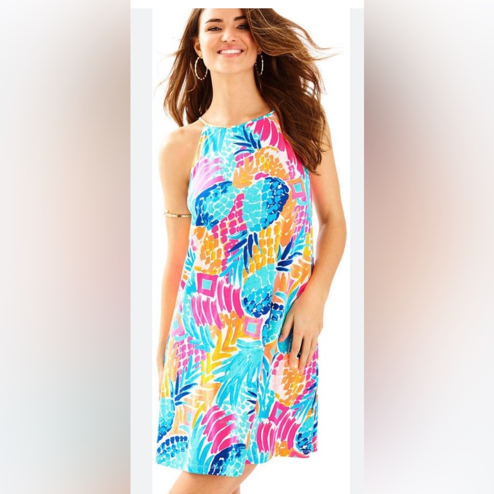 Lilly Pulitzer Margot Swing Dress in Multi Goombay Smashed
